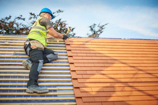 Best Roof Restoration  in Dickinson, TX